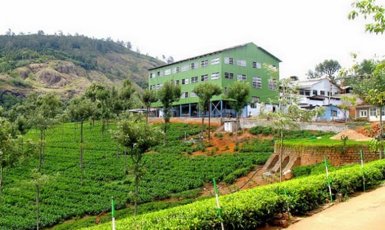 the-tea-factory-museum-ooty-img